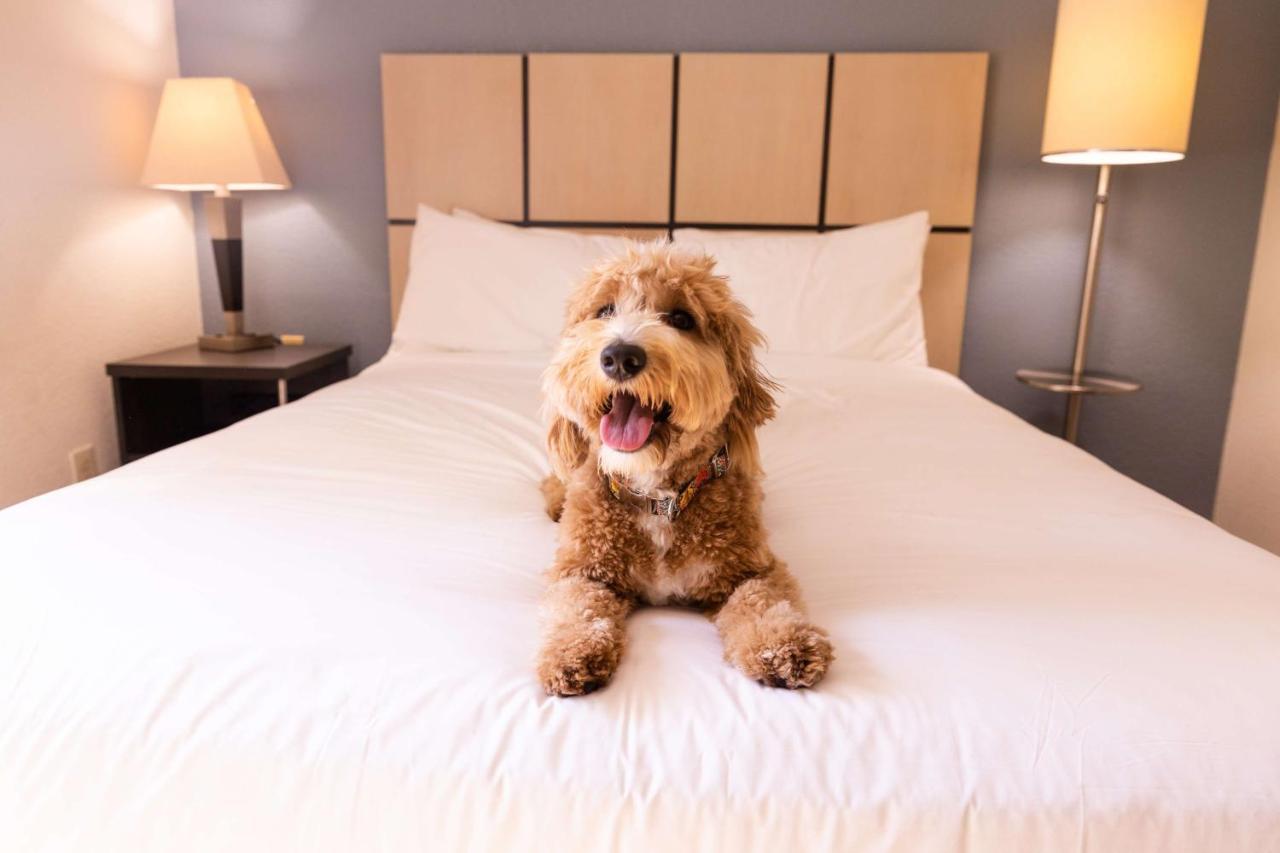 Sonesta Simply Suites Charlotte University المظهر الخارجي الصورة